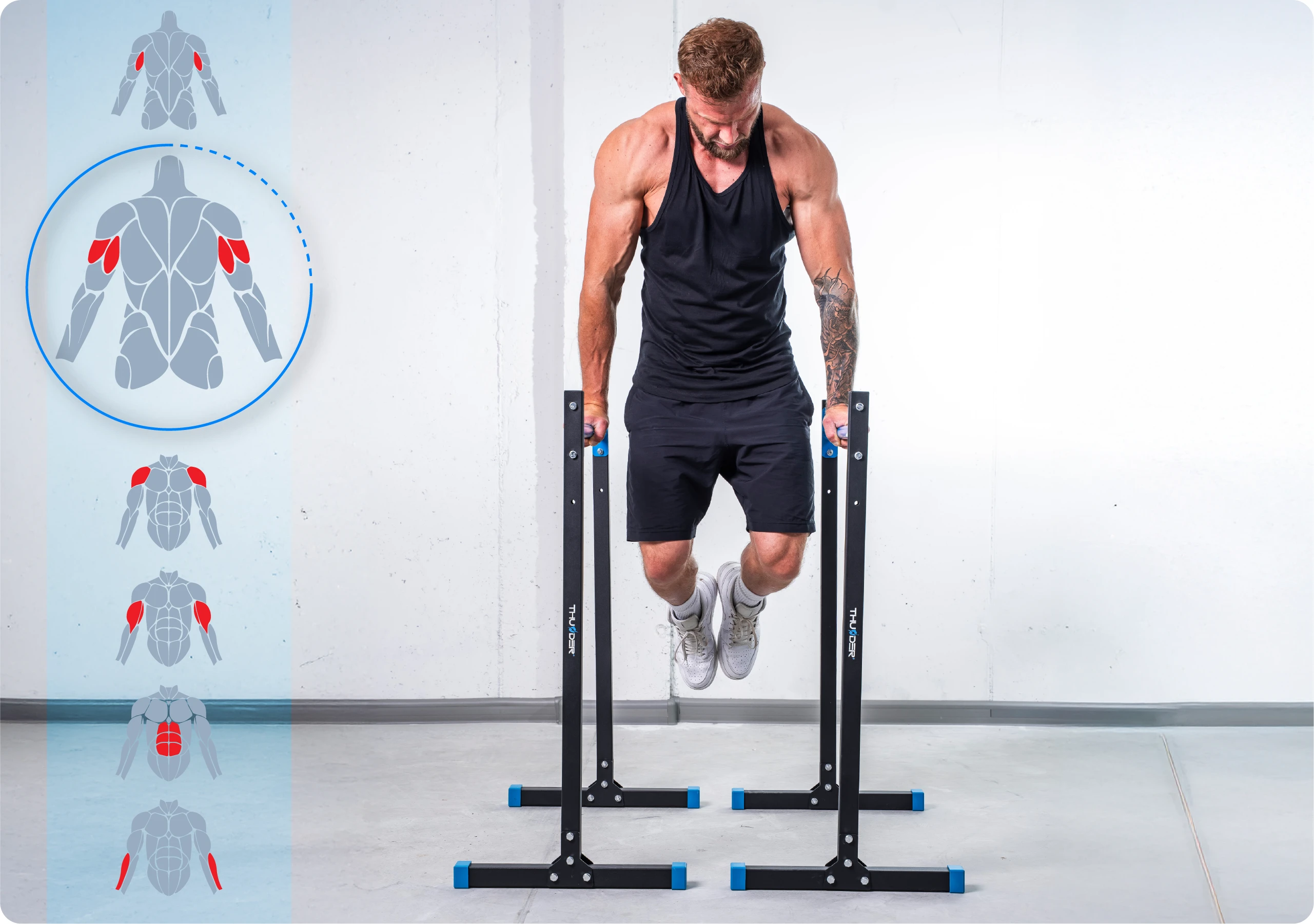 A chi sono destinate le parallele DIPSY