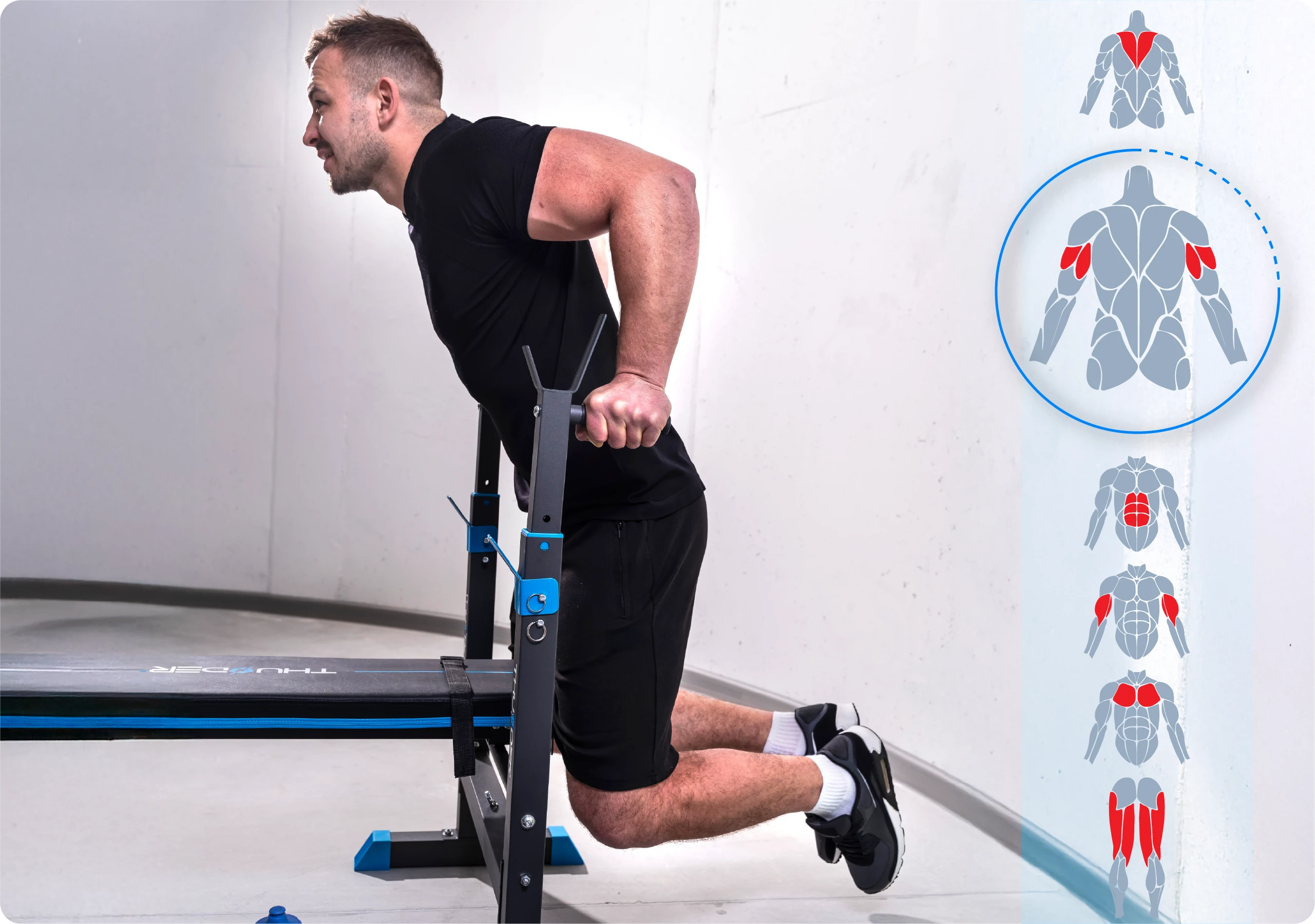 Najważniejsze cechy