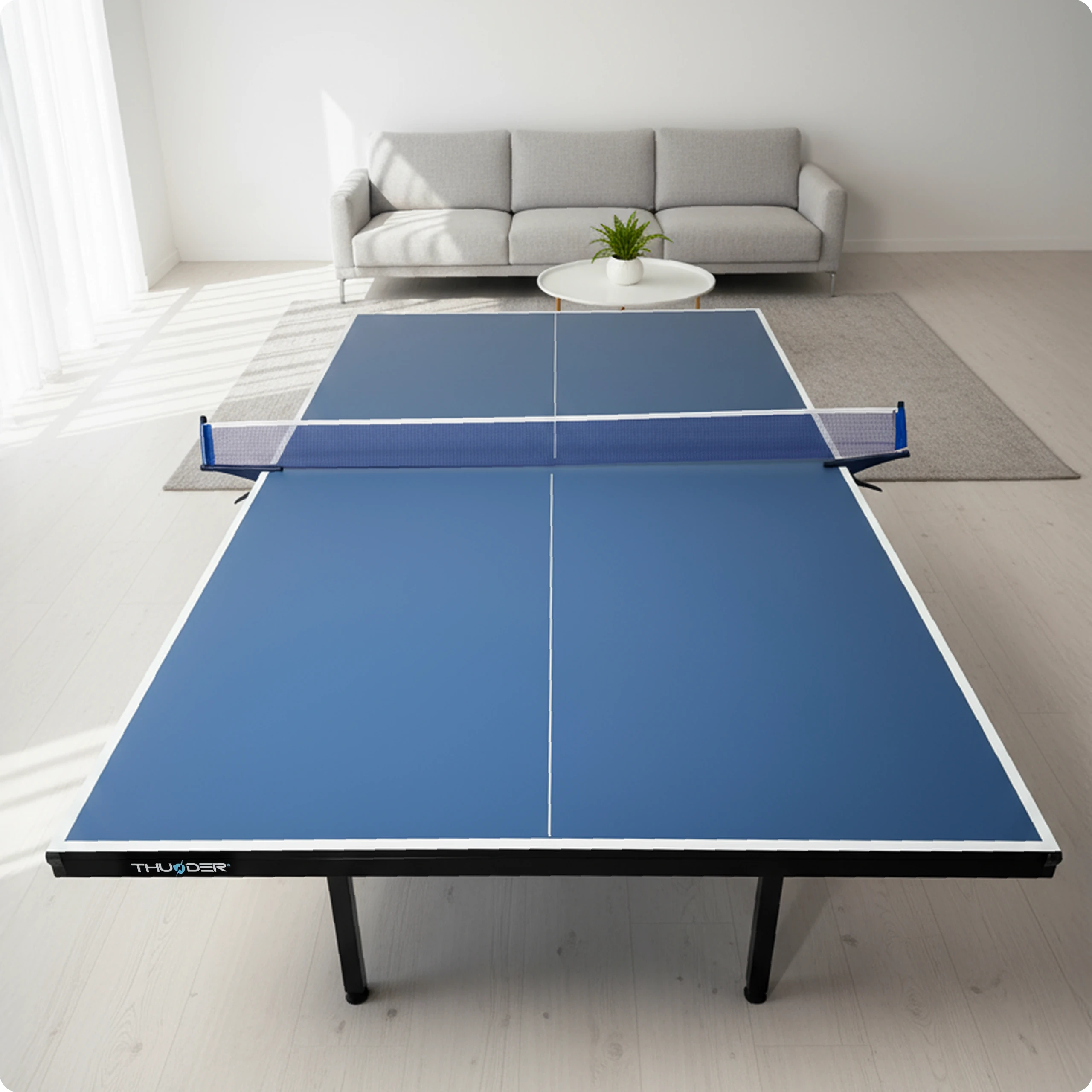 Conformità ai regolamenti – THUNDER (duplicato)